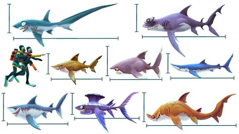 all sharks in hungry shark|hungry shark world size comparison.